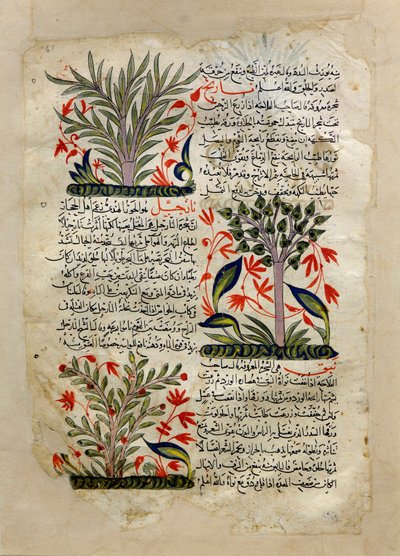 Illustrationen von Unknown